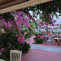🌺 at Aqua Marina Taverna in Kefalonia