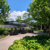  at Bubbie's in Arlington