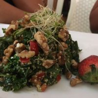 Kale Salad at The Sanibel Sprout in Sanibel