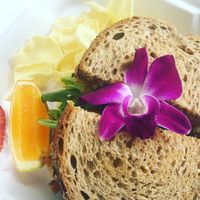 Coconut Bacon BLT at The Sanibel Sprout in Sanibel