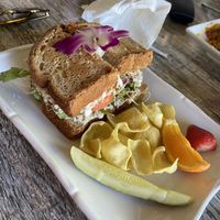 Untuna sandwich  at The Sanibel Sprout in Sanibel