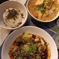 Wontons, sesame tofu, white rice at Carré Jardin in Lyon