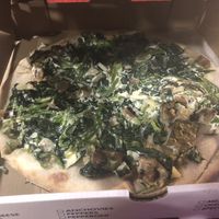 Vegan Bianca , no vegan cheese , with eggplant instead   at Bella Napoli  in Copiague