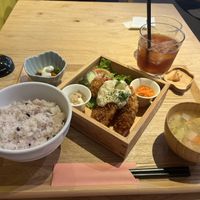   at ZENZAI in Kagoshima