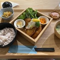   at ZENZAI in Kagoshima