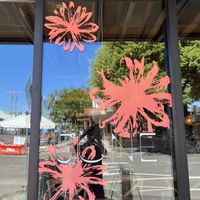 One of their windows  at JUNE in Beaverton