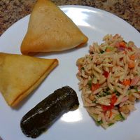 Spinach pie, orzo salad, stuffed grape leaf, samosa. at YUMMUS in Solon