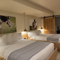 Under the Bed is even a special bed for the doggies. 🐶   at Best Friends Roadhouse and Mercantile in Kanab