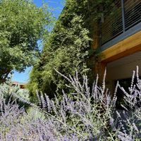 Paradise for bees as well 🐝   at Best Friends Roadhouse and Mercantile in Kanab