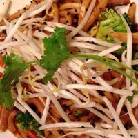 Japanese udon at Noodles & Company in Alexandria