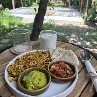   at PlantLab in Hoi An