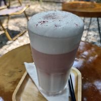 Rose Latte. No espresso, could use more rose flavor. at PlantLab in Hoi An