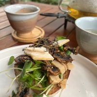  at PlantLab in Hoi An