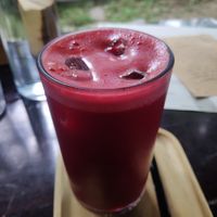  at PlantLab in Hoi An