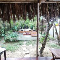  at PlantLab in Hoi An