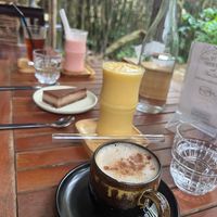   at PlantLab in Hoi An