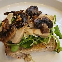  at PlantLab in Hoi An