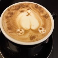   at Corgi's Cafe in Sofia