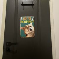   at Corgi's Cafe in Sofia