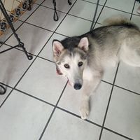  at Elixir Spot - Centro - temporarily closed in Puerto Vallarta