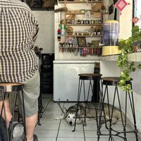   at Elixir Spot - Centro - temporarily closed in Puerto Vallarta