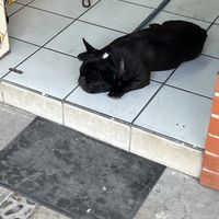   at Elixir Spot - Centro - temporarily closed in Puerto Vallarta