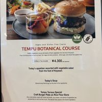 Vegan course  at Tempu Terrace in Wakayama