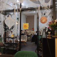 Indoors - cat playing area at Purr Purr in Warsaw