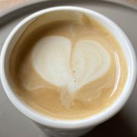   at superplanty in Zagreb