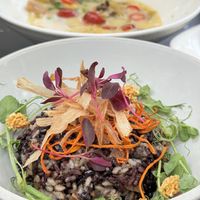   at Les Amores in Chengdu