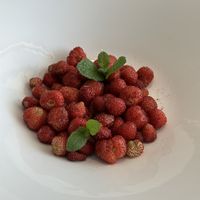 Wild strawberries   at Marixx in Ventimiglia