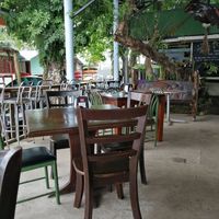 Tree Coffee House at Tree Coffee House  in Tortuguero