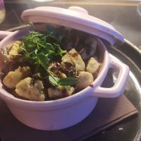  at Dr. Cat - Pet Lounge Bistrot in Brescia