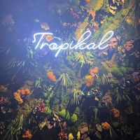   at Tropikàl in Montreal