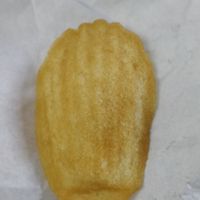 Madeleine at Hamilton Rose in Laval