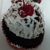 Black forest cupcakes. A bit smushed because I carried it around for hours at Hamilton Rose in Laval
