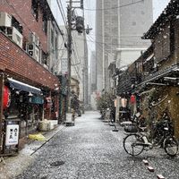 Cole day   at Breakfast Udon - 朝うどん in Kyoto