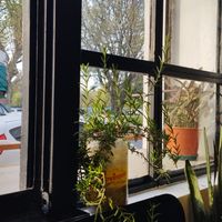  at La Manteca Negra in Buenos Aires