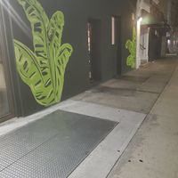  at HAAM - Caribbean Plant Cuisine in Brooklyn