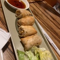 Tofu-Veggie spring rolls at Red Rice Kitchen in Gainesville