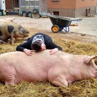 #Veganuary at GöfAR - Göttingen for Animal Rights in Gottingen