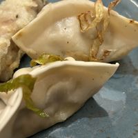 Gyoza  at Udon  in Girona