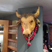 Die ist aus Holz und der Spruch darunter lautet: Respektiere das Leben, fühle Dich hier wohl. Dies ist ein Ort, an dem jedes Lebewesen Sicherheit und Liebe findet. at Apple & Eve - Vegan & tierisch lecker in Hamburg