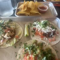 3 different tacos with jackfruit and included chips & salsa   at Taco Labs Boca in Boca Raton