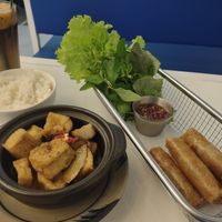Tofu hot pot and spring rolls 😋 at Grounded Chay - Plant Based Cuisine in Nha Trang