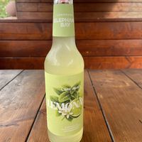   at Royal Mardini in Waldkirch