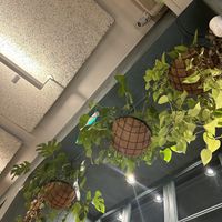 la cream de la cream 💚  at Teva Deli in Rio De Janeiro