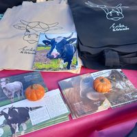 merchandise & infomaterial at Erika and Friends in Wegberg