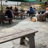   at Curbside Coffee & Bagels in Wanaka