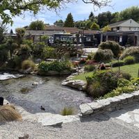   at Curbside Coffee & Bagels in Wanaka